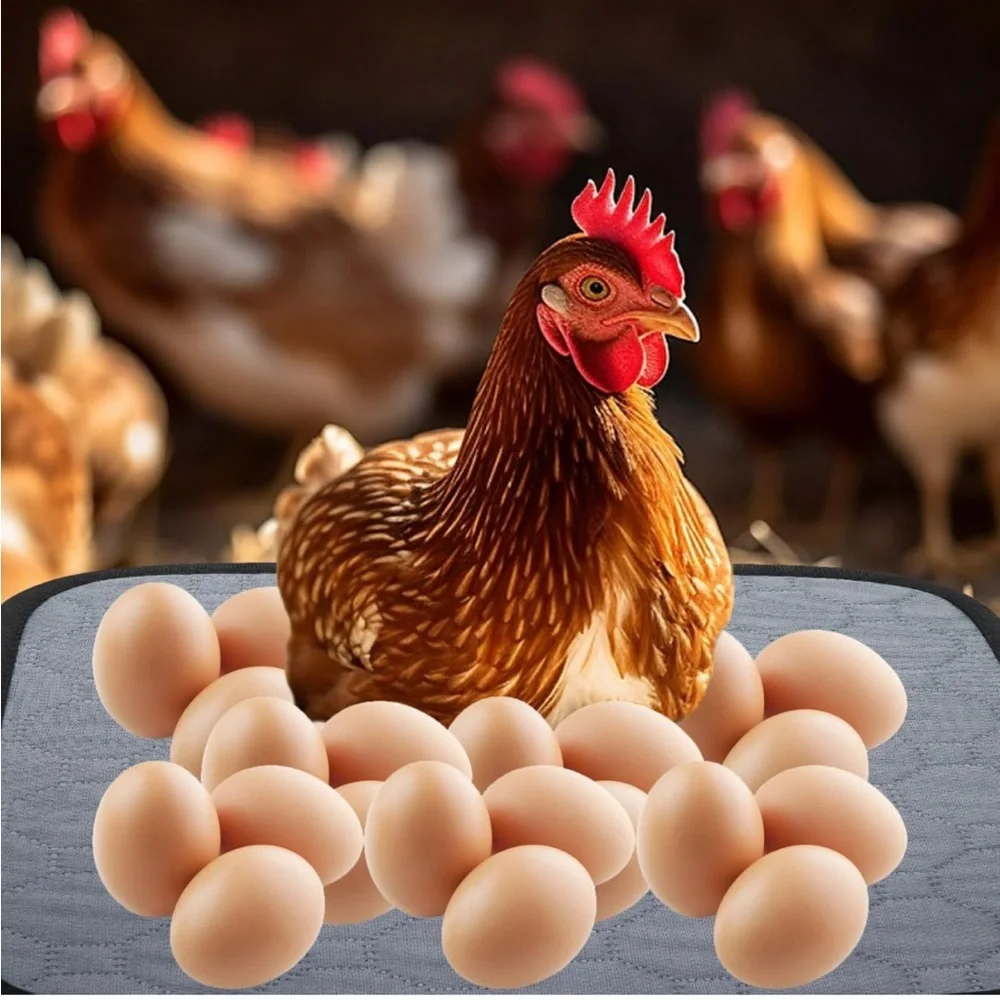 2 Pack Washable Cotton Chicken🐓Nesting🪺Pads for Laying Eggs🥚🐣